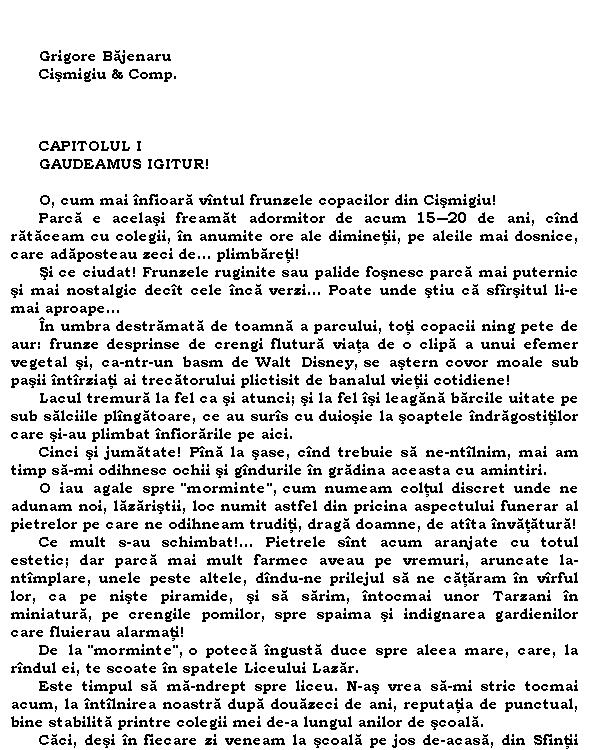 Cişmigiu & Comp.